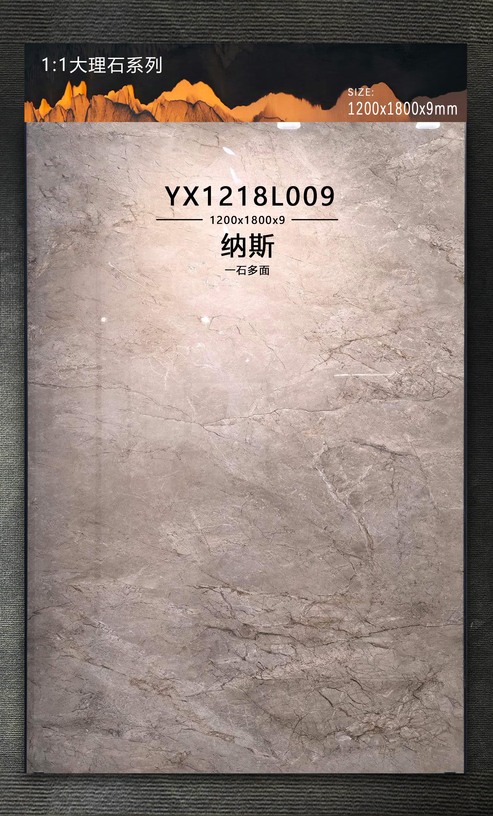 Nas YX1218L009 image 2