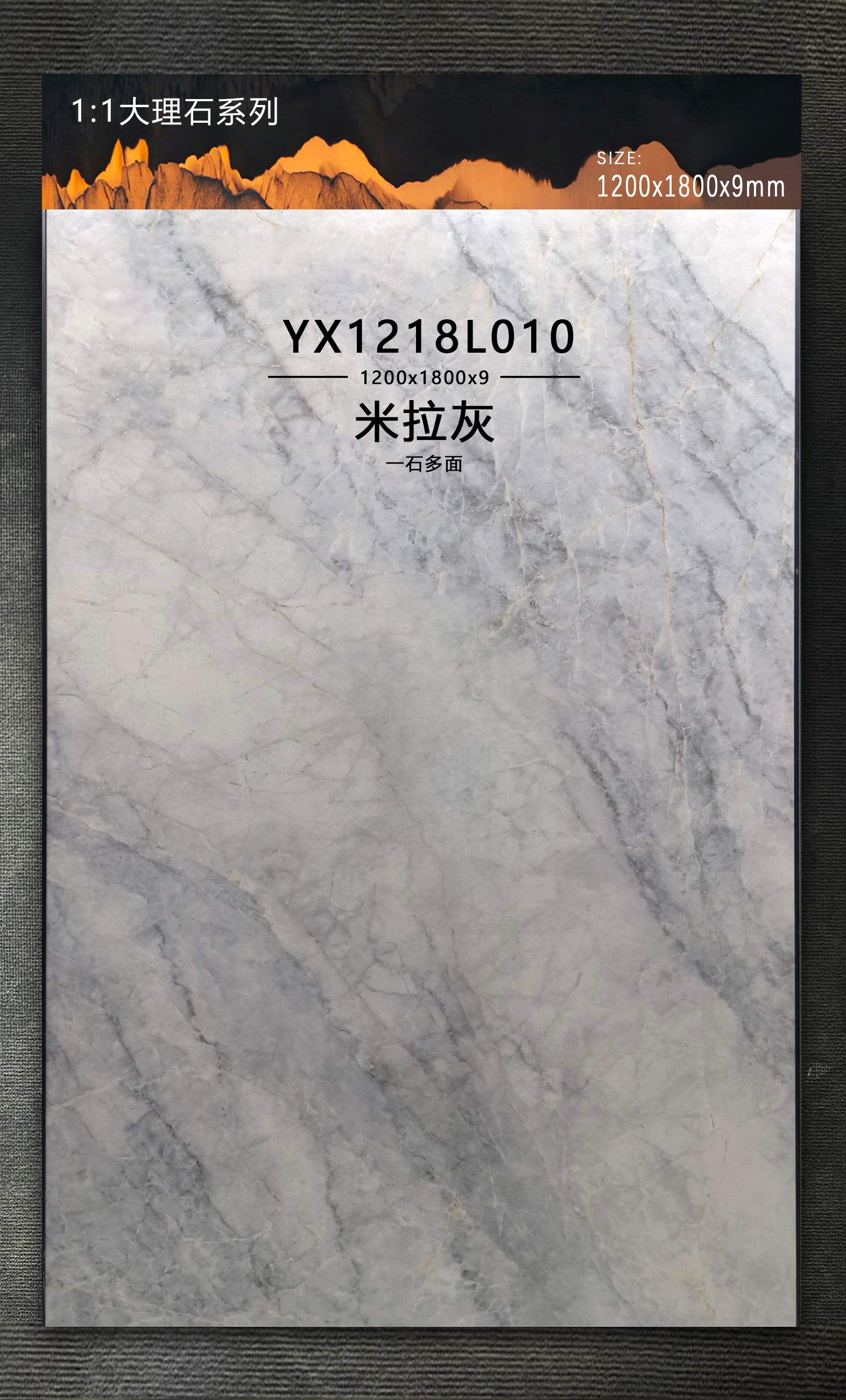 Mira Gray YX1218L010 image 2