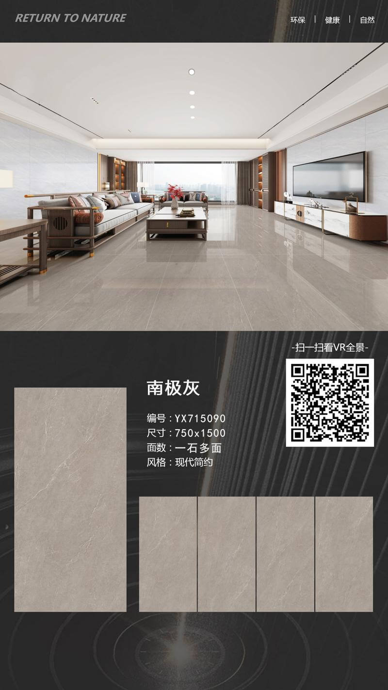 Antarctic gray YX715090 image 1