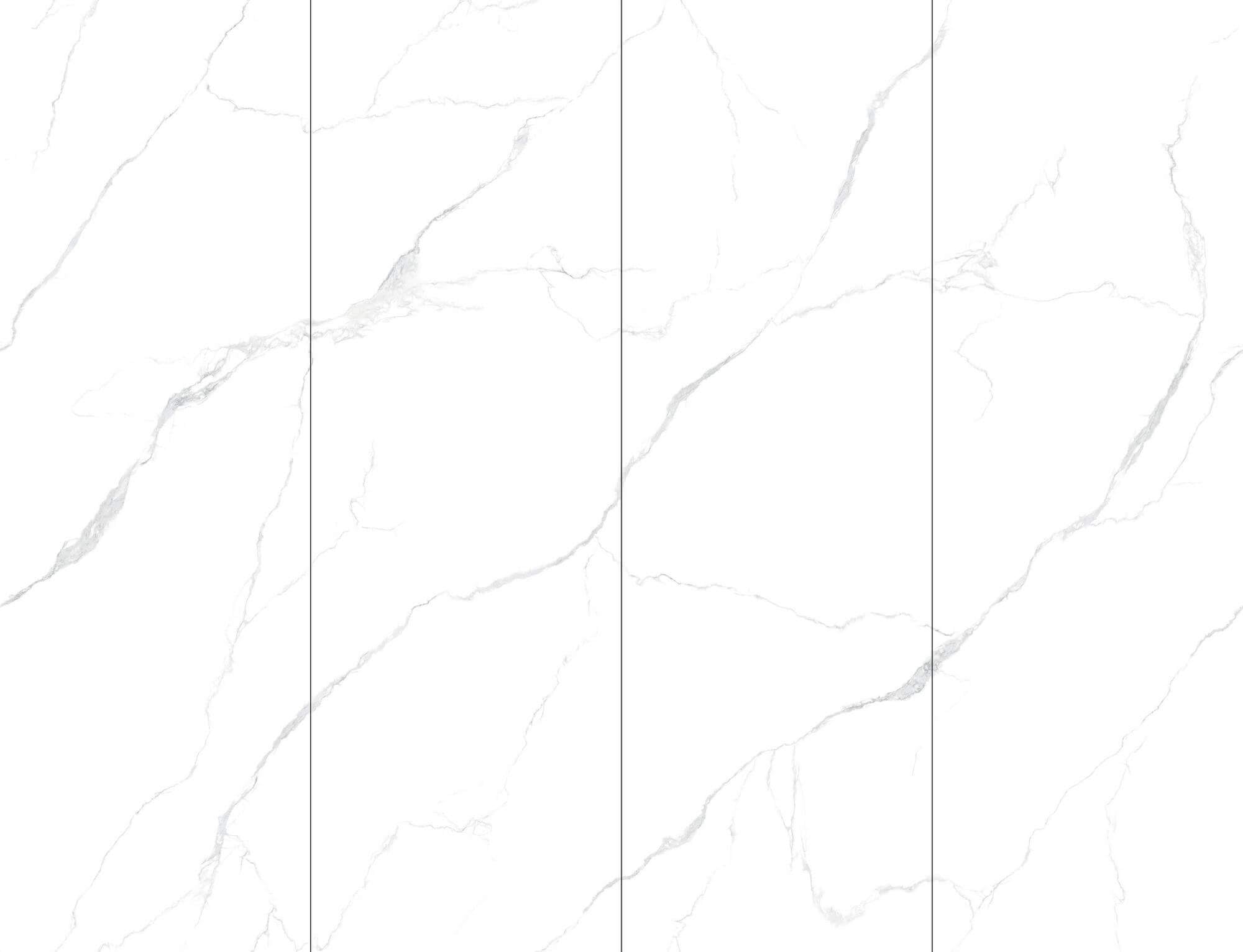 bianco come la neve YX930L005 image 2