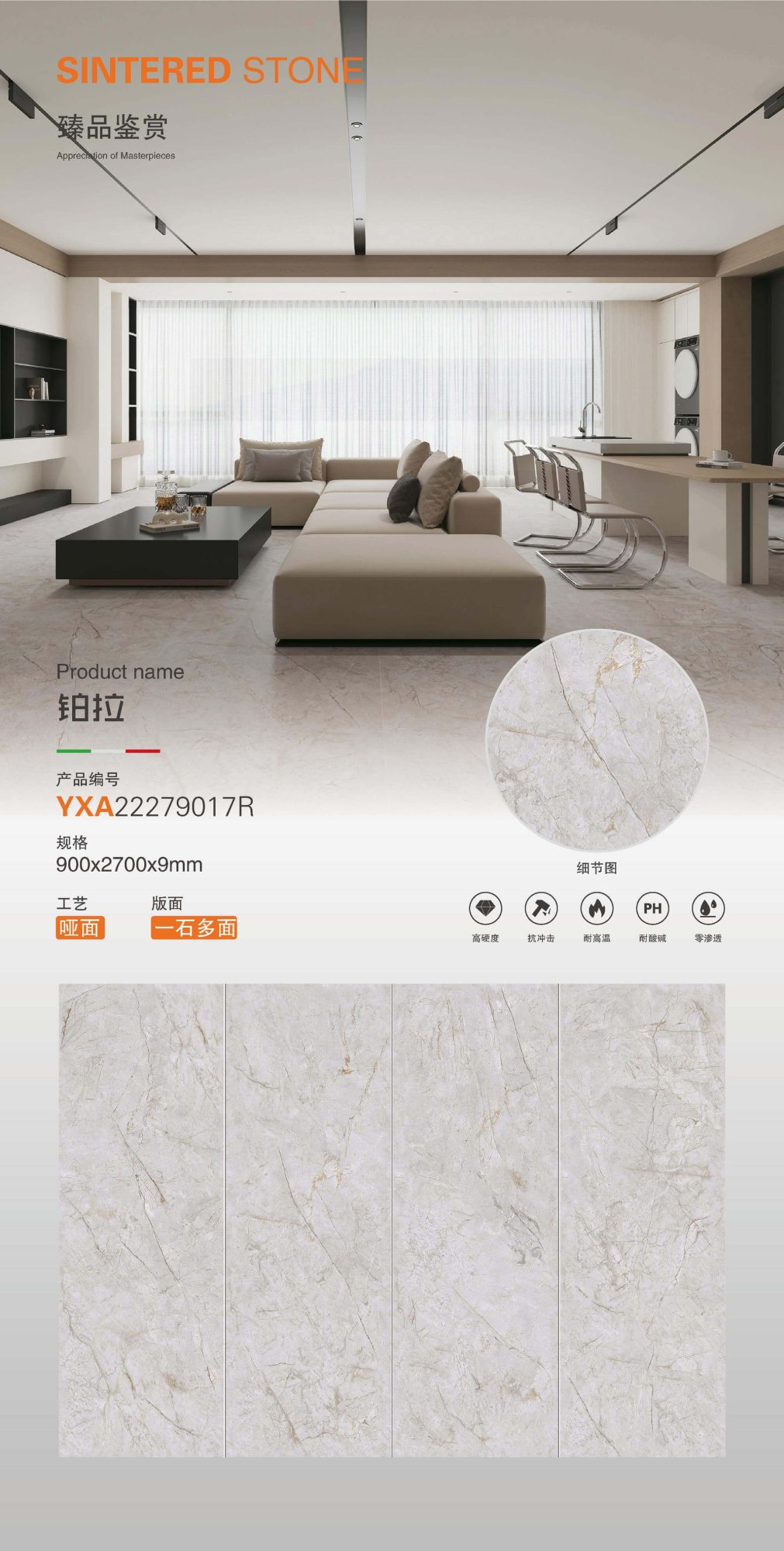 Platin YXA22279017R image 1