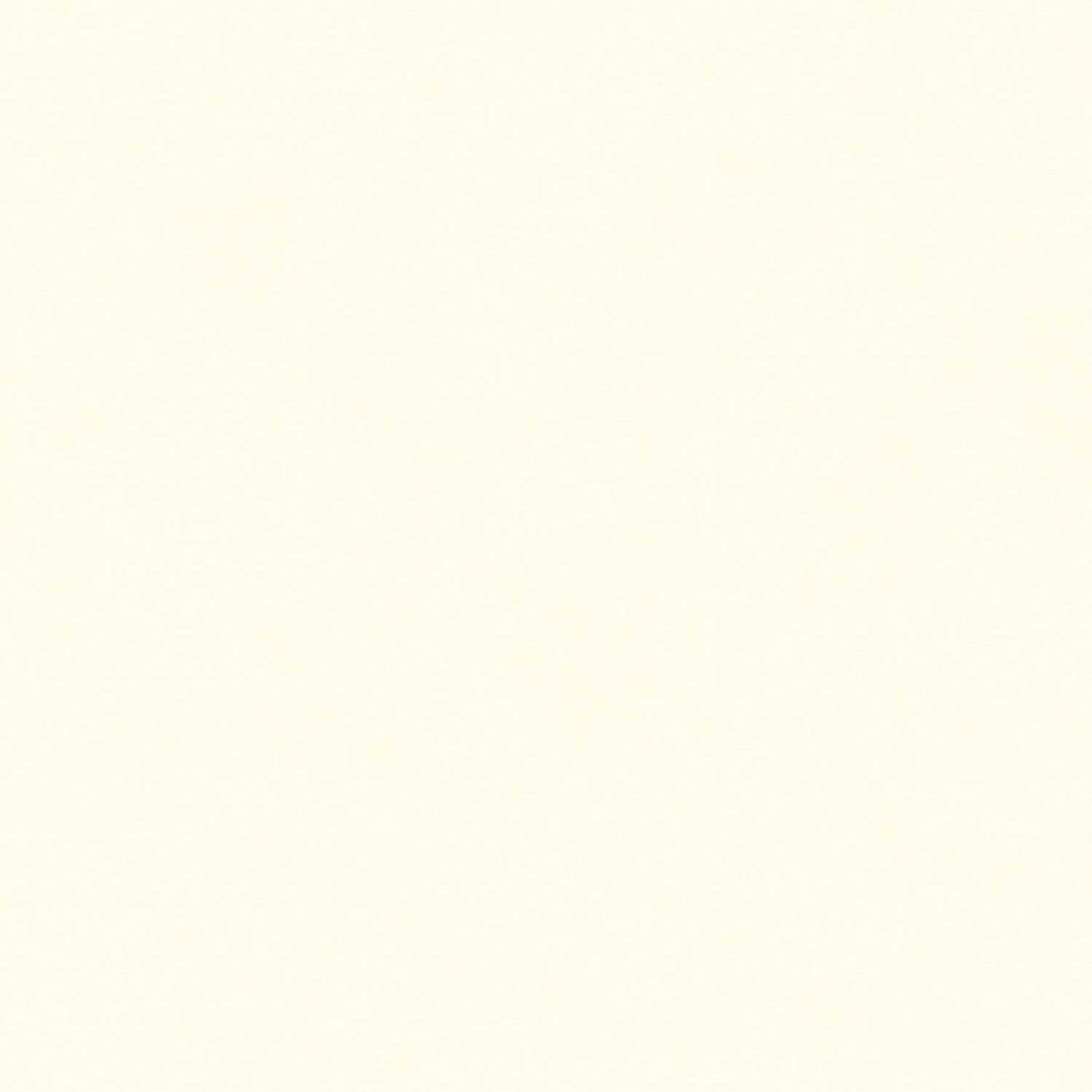 blanco lechoso YXR8XD81 image 2