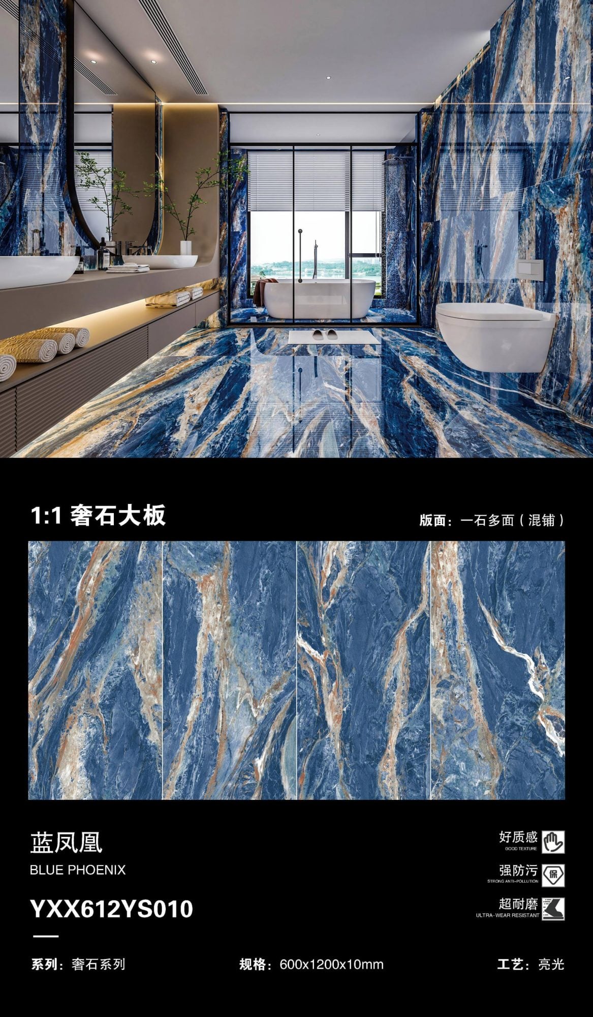 Blue Phoenix YXX612YS010 image 1