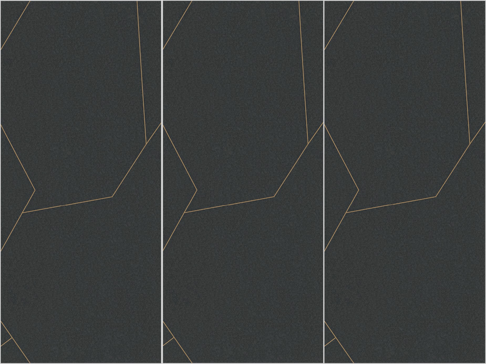 carbon fiber black YY1227L49 image 2