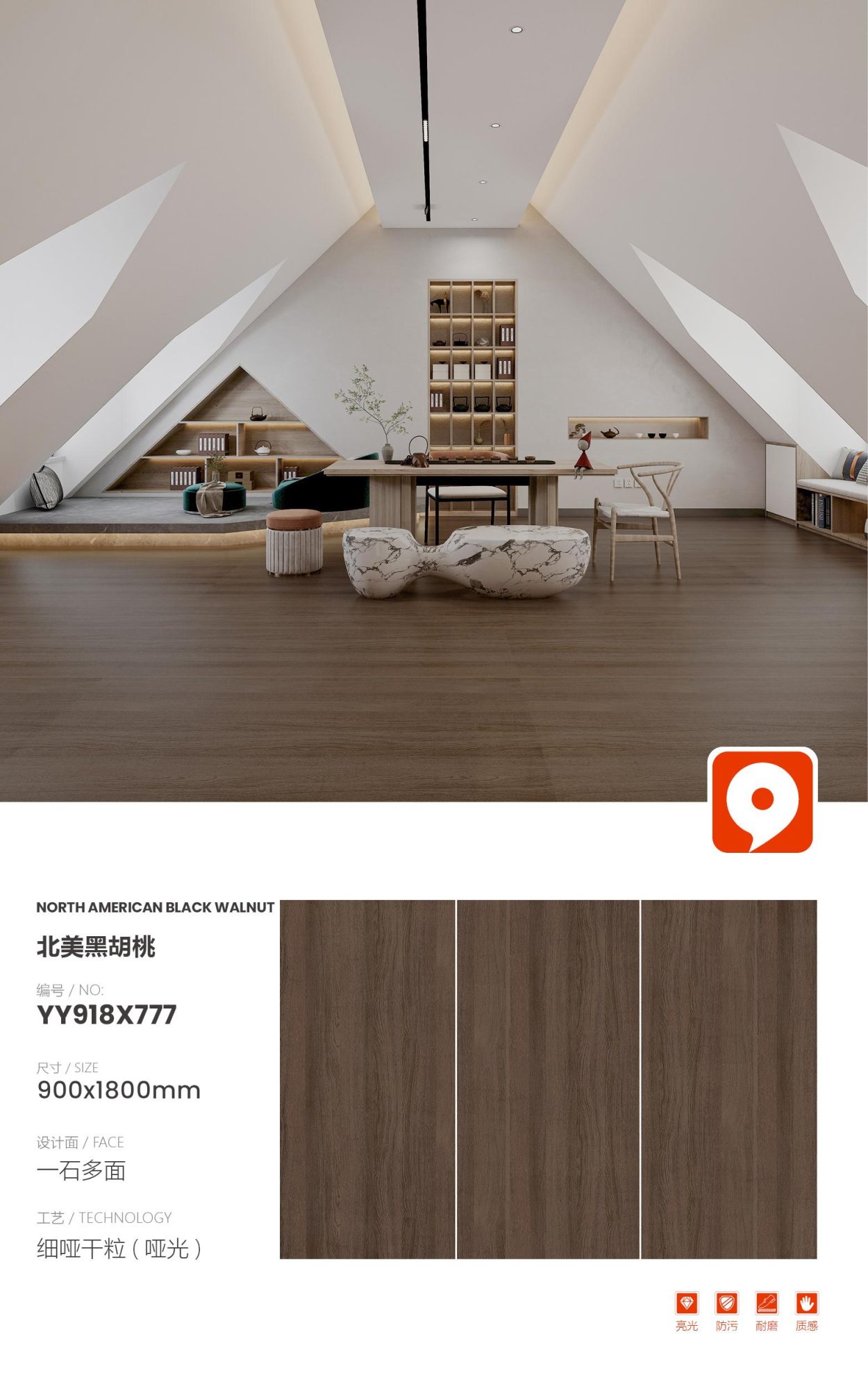 Noce nero nordamericano YY918X777 image 1
