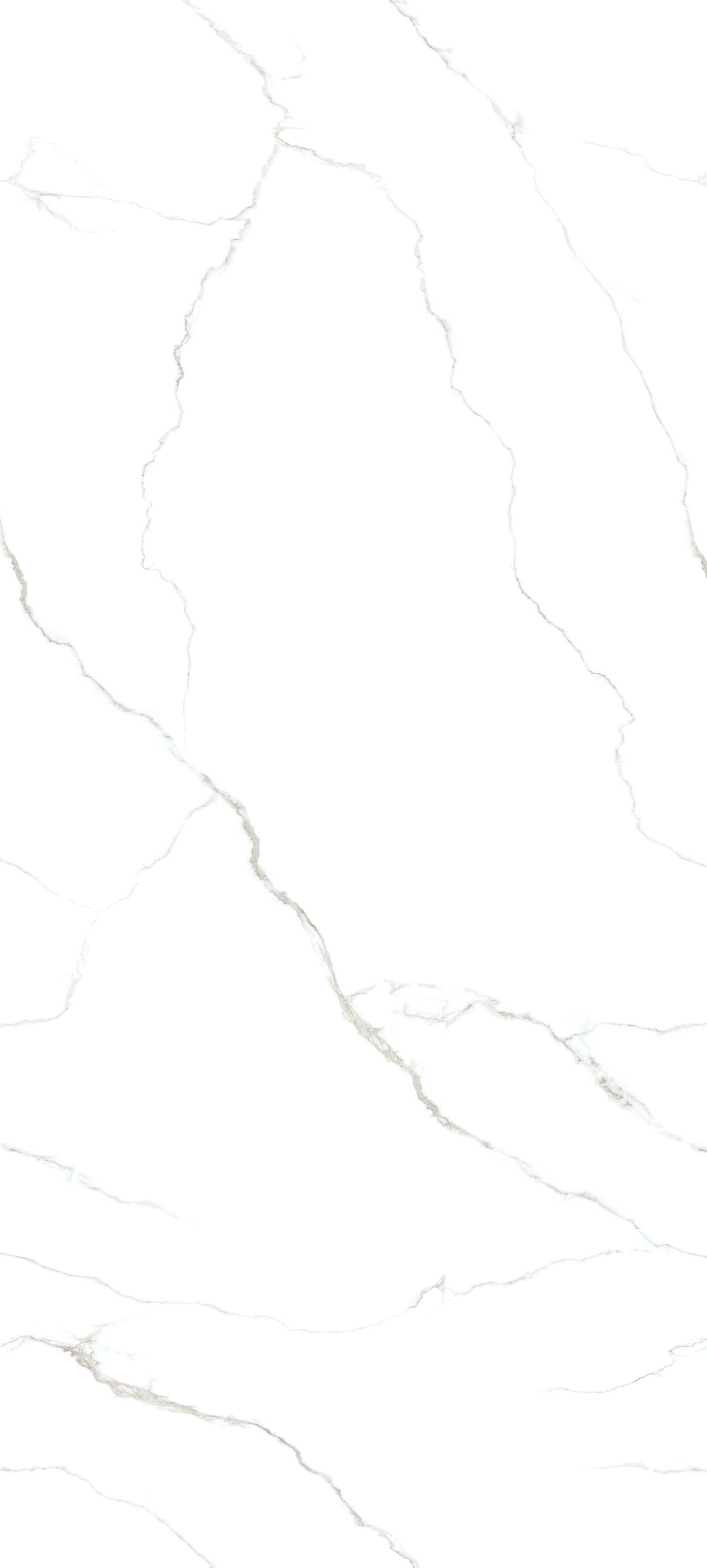 Polarstern ZL12712Y062 image 2