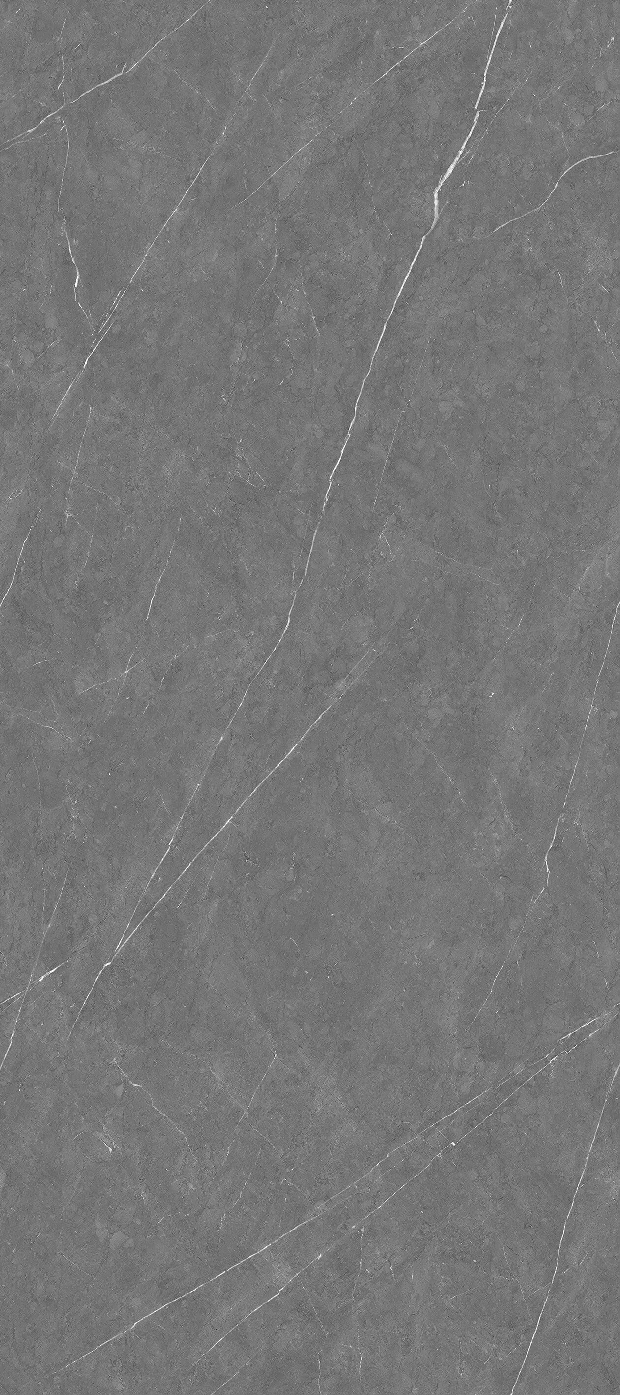 caesar gray ZL12712Y075 image 2