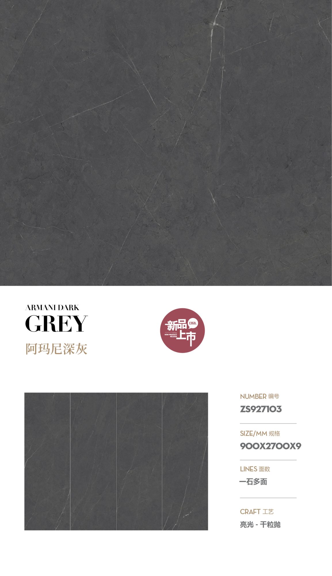 Armani dark gray ZS927103 image 1