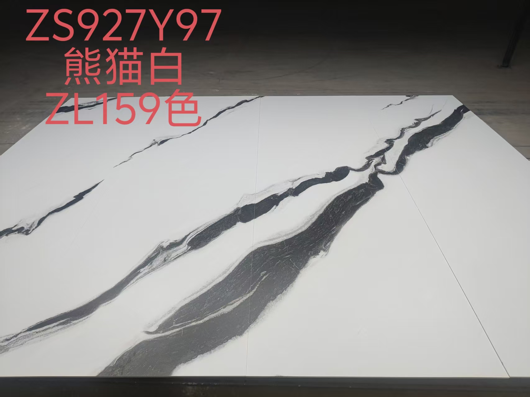 panda white ZS927Y97 image 3