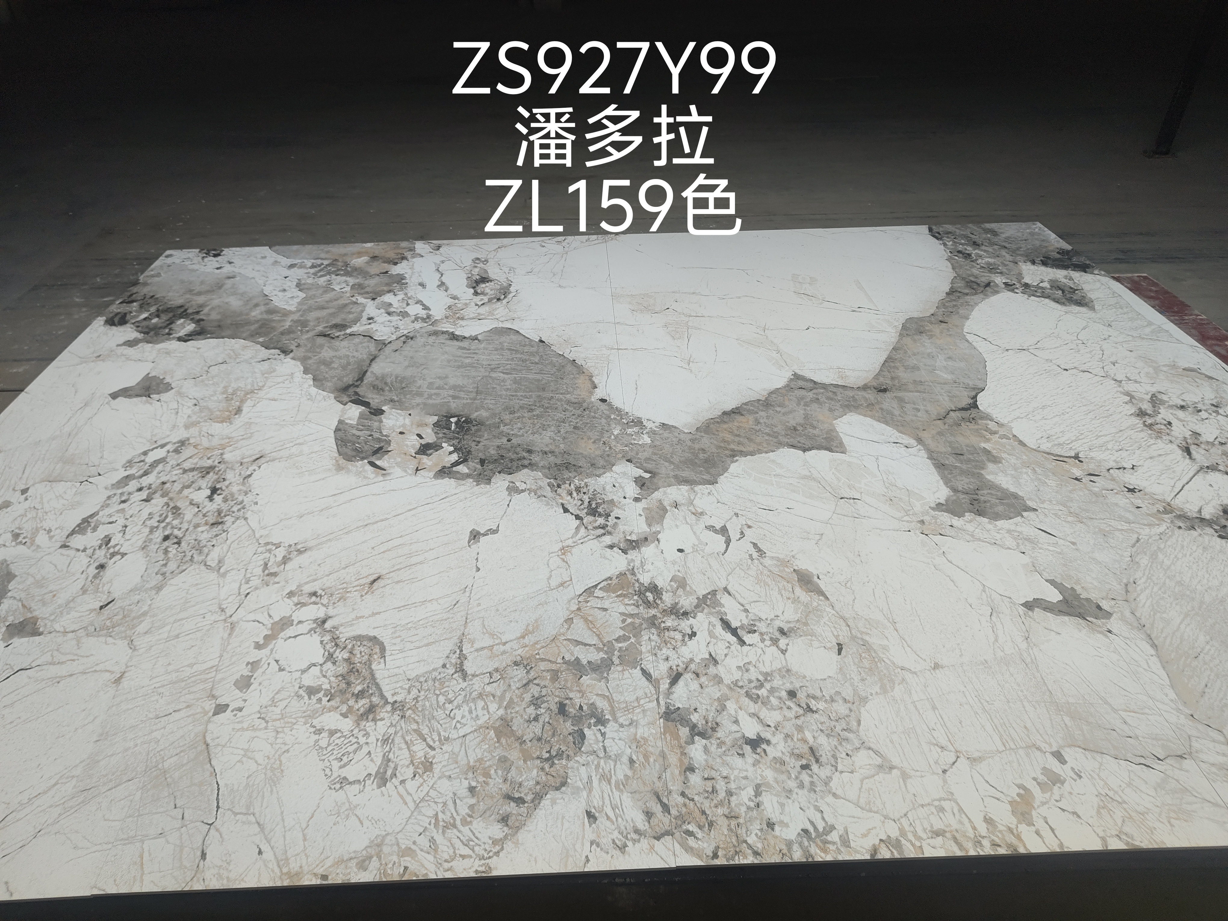 Pandora ZS927Y99 image 3